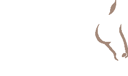 Logo Puszta Onlineshop